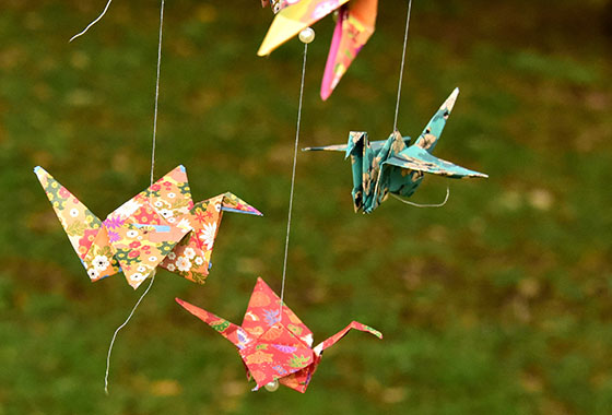 Origami birds